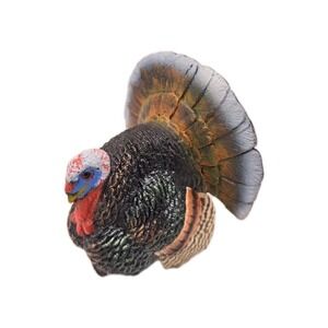Safari Ltd TOM TURKEY Farm Bird Poultry Animal Figure 2006